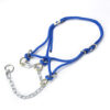Hackamore Halter Heifer