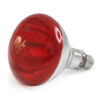 Infrared Light Bulb 250w (Phillips)