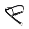 Halter Leading Cow
