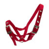 Cattle Halter Webbing Cow - Image 3