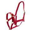 Horse Halter - Image 5