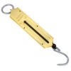 Spring Balance Scales