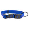Nylon Dog Collar Premium - Image 2