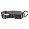 Nylon Dog Collar Premium - Image 5