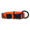Nylon Dog Collar Premium