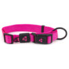 Nylon Dog Collar Premium - Image 6