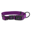 Nylon Dog Collar Premium - Image 4