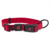 Nylon Dog Collar Premium - Image 3