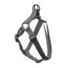 Nylon Step in Harness Premium - Image 5