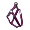 Nylon Step in Harness Premium - Image 2