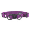 Nylon Double Ring Dog Collar Premium - Image 4