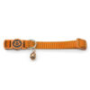 Nylon Cat Collar with Safety Buckle - Image 4