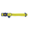 Nylon Cat Collar - Padded