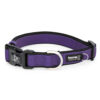 Premium Sport Dog Collar with Neoprene