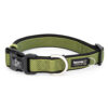 Premium Sport Dog Collar with Neoprene - Image 4