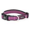 Premium Sport Dog Collar with Neoprene - Image 3