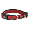 Premium Sport Dog Collar with Neoprene - Image 2