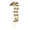 Bird Toy - Naturals