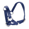 Halter for Alpacas - Image 5