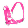 Halter for Alpacas - Image 4