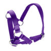 Halter for Alpacas - Image 3