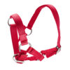 Halter for Alpacas - Image 2