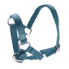 Halter for Alpacas