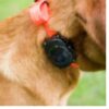 DT Systems H20 1820 Plus Add-On Collar - Image 3