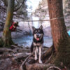 Ridgeline Tie Out - Image 2
