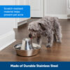 PetSafe® Seaside Stainless Steel Pet Fountain - Image 2