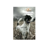 SportDOG Sporthunter Extra Collar SDR-AX (For SD-1825 & SD-1225) - Image 2