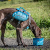 Zippy Bowl - Image 2