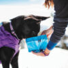 Zippy Bowl - Image 3