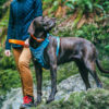 Journey Air Dog Harness, Blue - Image 3