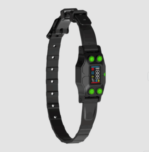 ATS GPS Dog fence