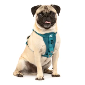 Tru-Fit Smart Harness, Enhanced Strength, Ink Blue, S