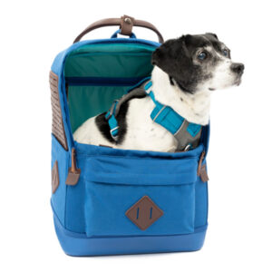 Nomad Carrier Backpack, Blue